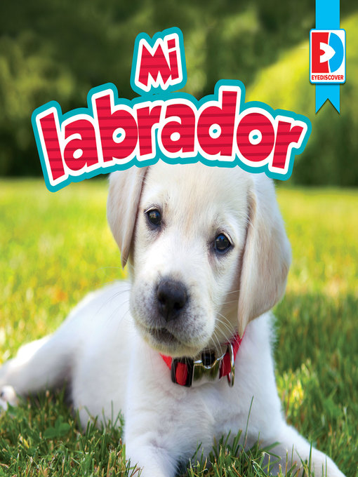 Cover image for Mi labrador